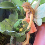 Fairy Garden