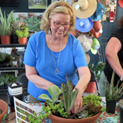 Succulent Garden